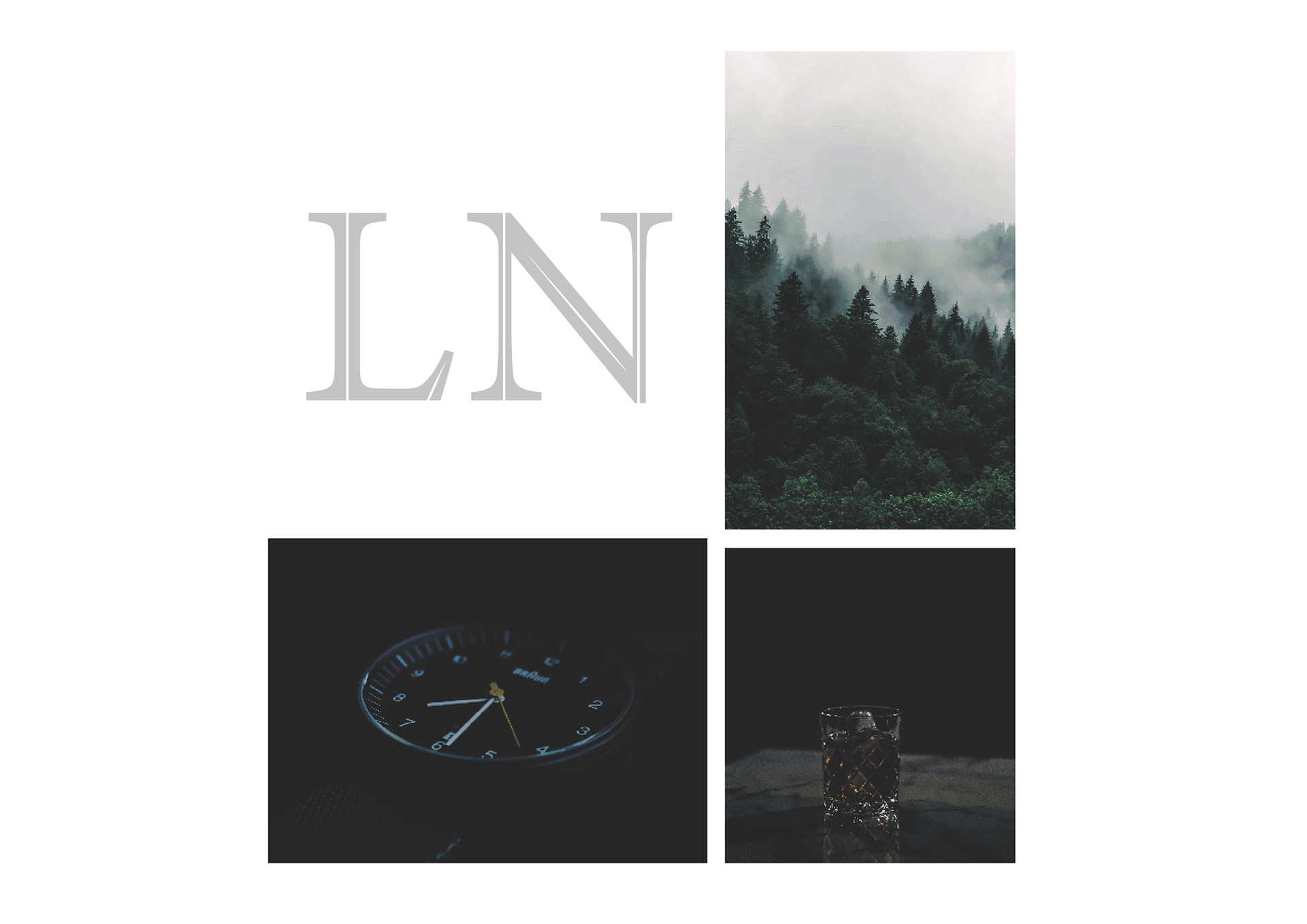 Visual LN